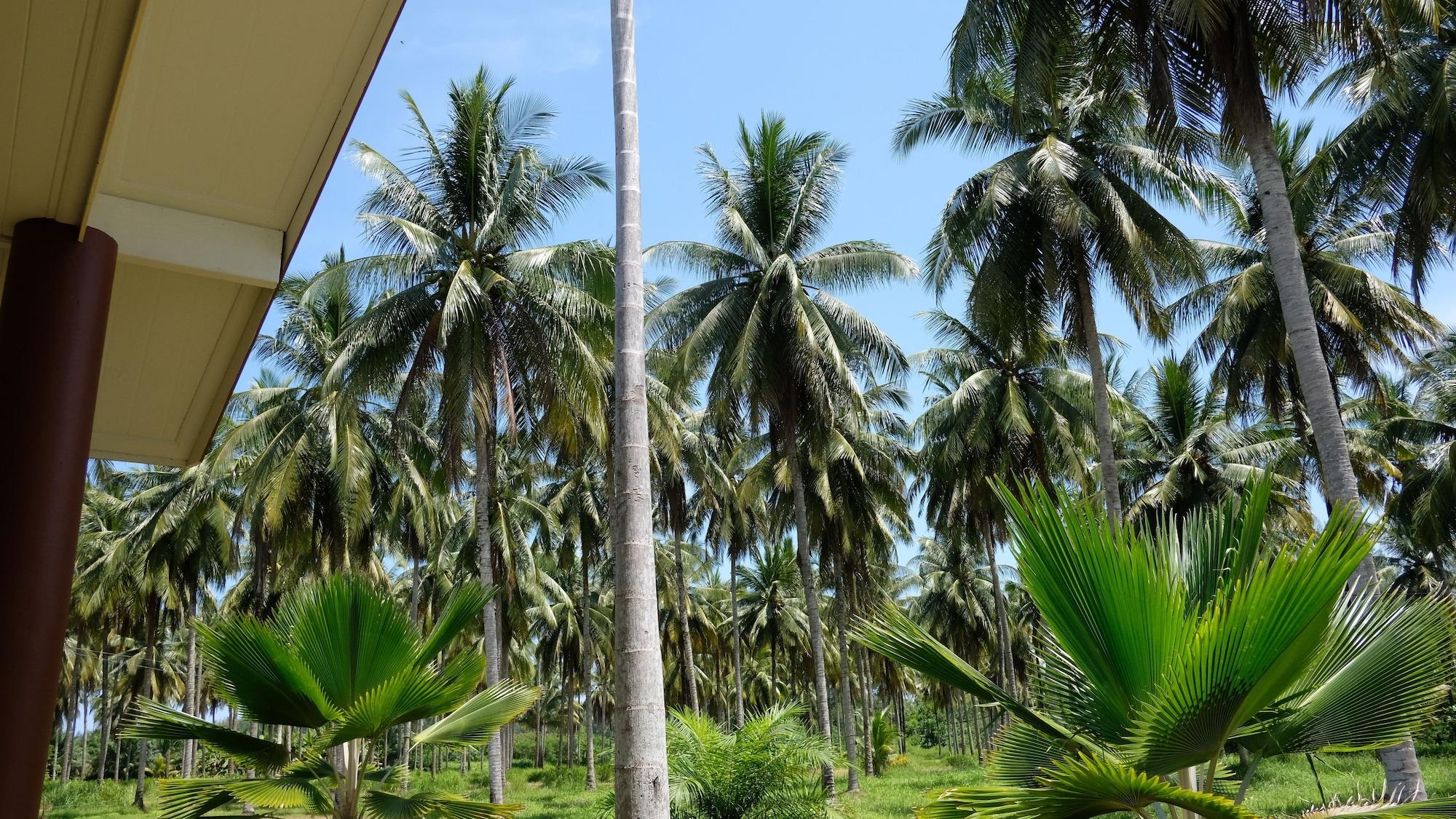 Hotel Khao Lak Golden Coconut Zewnętrze zdjęcie